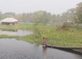 Waterlogging Worsens Agricultural Crisis in Khulna