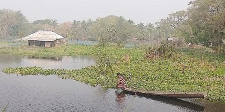 Waterlogging Worsens Agricultural Crisis in Khulna