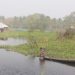 Waterlogging Worsens Agricultural Crisis in Khulna