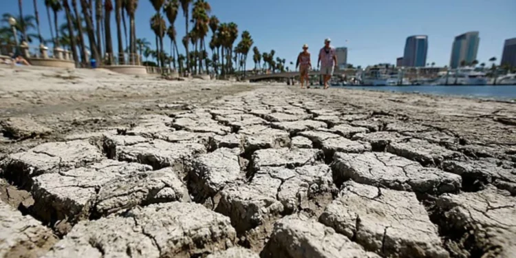 World Faces Twin Threats as Powerful El Nino Looms