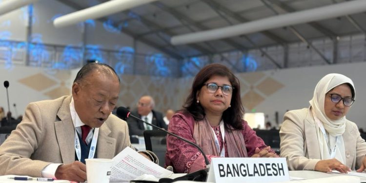 Mintoo calls for involving local communities in rangeland protection