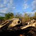 El Nino could cause 451,000 extra heat deaths: research