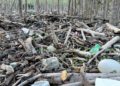 Plastic Pollution Threatens the Sundarbans