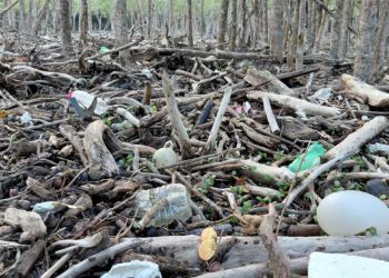 Plastic Pollution Threatens the Sundarbans