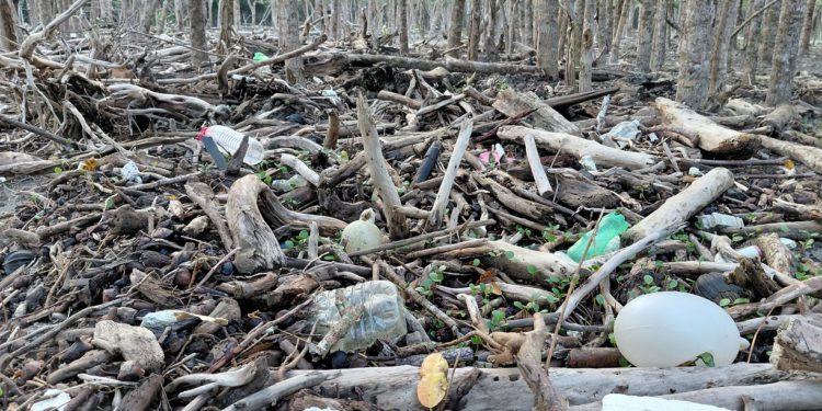 Plastic Pollution Threatens the Sundarbans