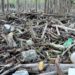 Plastic Pollution Threatens the Sundarbans