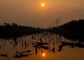 El Nino Watch: the impacts around the world this week