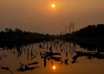 El Nino Watch: the impacts around the world this week