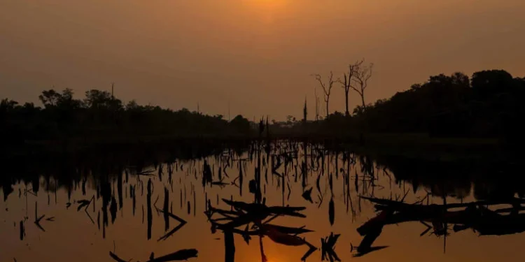 El Nino Watch: the impacts around the world this week