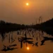 El Nino Watch: the impacts around the world this week