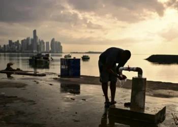 Empty nets in Latin America as fish flee El Nino