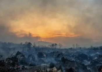 Greenhouse gas levels hit new record highs in 2025: UN
